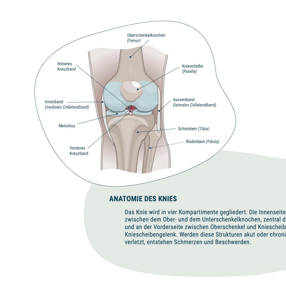 OPL – Grafik